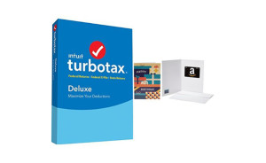 intuit turbotax home business 2017 sanet cd