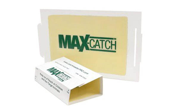 Catchmaster 72MAX Pest Trap, 36Count