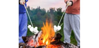 Campfire Roasting Stick - Extendable Marshmallow / Hot Dog Fork